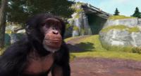 Zoo Tycoon - thumbnail