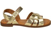 Red Rag 79664 - alle - thumbnail