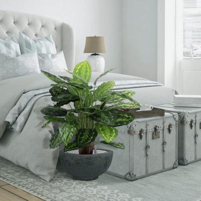 Calathea Rosea Picta kunstplant 80cm Calathea Rosea Picta kunstplant 80cm