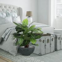 Calathea Rosea Picta kunstplant 80cm - thumbnail