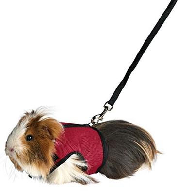 TRIXIE SOFTTUIG MET RIEM CAVIA ASSORTI 18-25 CM / 120 CM 4 ST