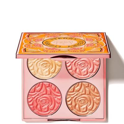 By Terry Brightening CC Palette