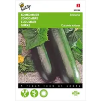 Komkommer Johanna - thumbnail