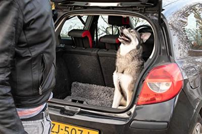 Royal Dry Deurmat Voor Honden L