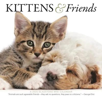Kittens en Vrienden Kalender 2026 Mini