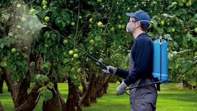 Knapzakspuit Matabi Evolution 84941 16 L