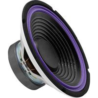 Monacor SP-252C 10 inch Woofer 100 W 4 Ω - thumbnail