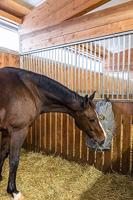 Hooizak hay bag canvas 70 x 50 cm - thumbnail