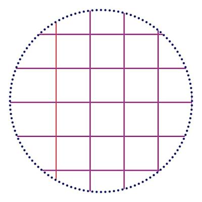 Cursusblk cf calligraphe a4 rt 5mm 2g 200pag gs | 5 stuks