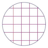 Cursusblk cf calligraphe a4 rt 5mm 2g 200pag gs | 5 stuks - thumbnail