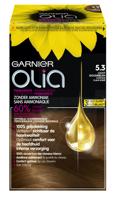 Garnier Olia 5.3 golden brown 1 Set - thumbnail