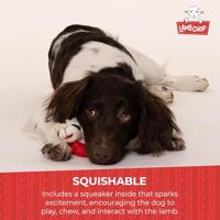 HAPPY PET LAMBCHOP SCHAAP PLUCHE - thumbnail