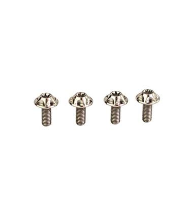 SILCA bevestigingsbout screw silver 4pcs.