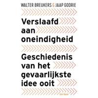Verslaafd aan Oneindigheid (Paperback) - thumbnail