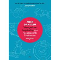 Meer dan slim (Paperback) - thumbnail