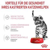 Royal Canin Kitten Sterilised kattenvoer Natvoer (12x85g) - thumbnail