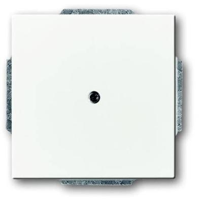 Busch-Jaeger 2CKA001710A3878 Afdekking Verkeerswit, Wit 1 stuk(s)