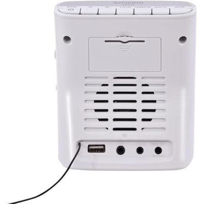 Imperial DABMAN D15 Wekkerradio Wit
