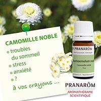Pranarôm Essentiële Olie Kamille 5ml - thumbnail