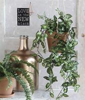 Mica Decorations kunst hangplant fittonia 80cm groen - thumbnail