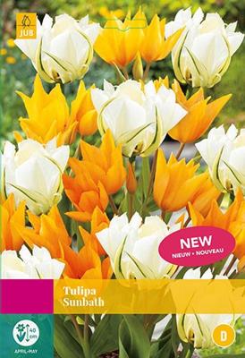 Tulp sunbath 15 bollen
