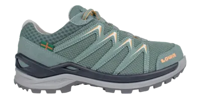 Lowa Lowa Innox Pro 4Daagse GTX Wandelschoen Dames