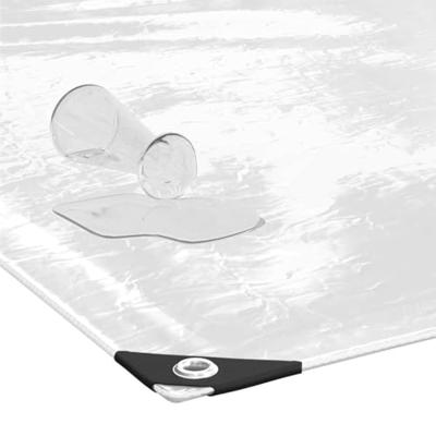 Doorzichtig zeildoek met zeilringen 3x10 m PVC
