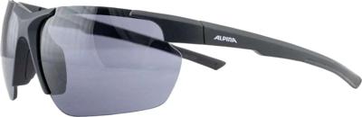 ALPINA DEFEY HR-zonnebril, kleur BLACK MATT, zwarte glazen, categorie 3