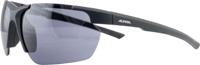 ALPINA DEFEY HR-zonnebril, kleur BLACK MATT, zwarte glazen, categorie 3 - thumbnail