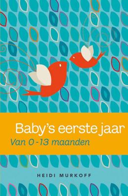 Baby's eerste jaar - Heidi Murkoff - ebook