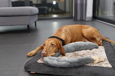 Trixie be nordic aal karl pluche / touw grijs