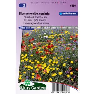 Bloemen zaden Bloemenweide Eenjarig Mengsel