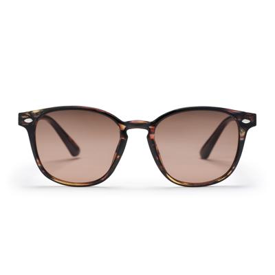 CHPO bril alva turtle brown/brown