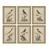 Schilderij Home ESPRIT Beige Vogel Shabby Chic 45 x 3 x 60 cm (6 Stuks) - thumbnail