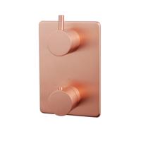 Caral afbouwdeel inbouwthermostaat 2 weg geborsteld koper - thumbnail
