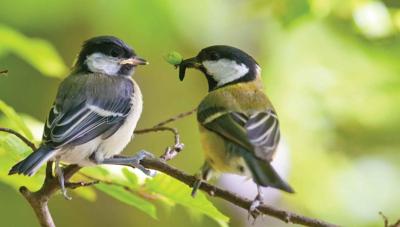 Mezen 130x70cm Tuinschilderij Customize-it - Customize it