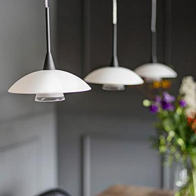 Steinhauer Moderne hanglampTallerken Ø 18cm - 2655ZW