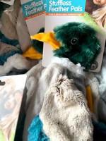 Pawise Stuffless Duck S 30 cm - thumbnail