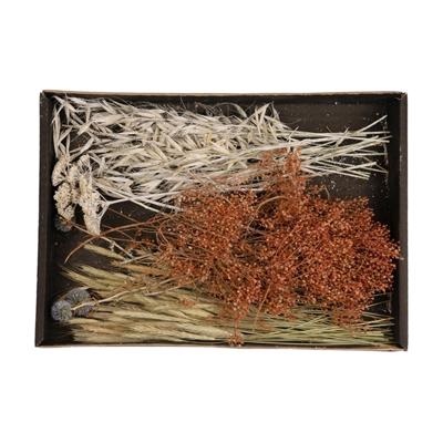 Naturel Collections Droogbloemen mix tray 38x26x5cm