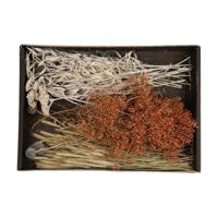 Naturel Collections Droogbloemen mix tray 38x26x5cm - thumbnail