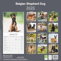Belgische Herder Kalender 2026 - thumbnail