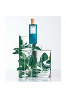 Herenparfum Loewe Loewe EDP - thumbnail