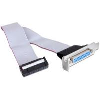 DeLOCK Slotblech/Parallel Plat Mannelijk/ Mannelijk PATA kabel - thumbnail