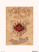 Kunstdruk Harry Potter - The Marauders Map 30x40cm - thumbnail