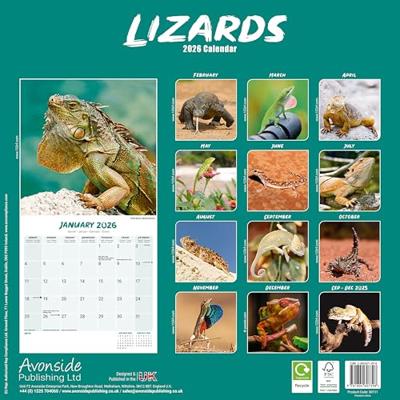 Hagedissen Kalender 2026 Hagedissen Kalender 2026