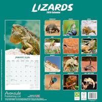 Hagedissen Kalender 2026 - thumbnail