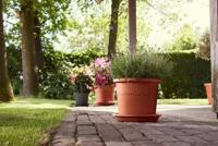 Elho algarve cilindro 25 terra - thumbnail