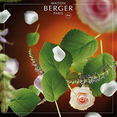 LAMPE BERGER - Parfums - Parfum 0,50l Myst.Patchouli