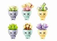 Sluban Potted plants succulant (m38-b1076) display - thumbnail