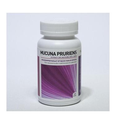 Ayurveda Health Mucuna pruriens extract 20% 120 Tabletten Ayurveda Health Mucuna pruriens extract 20% 120 Tabletten